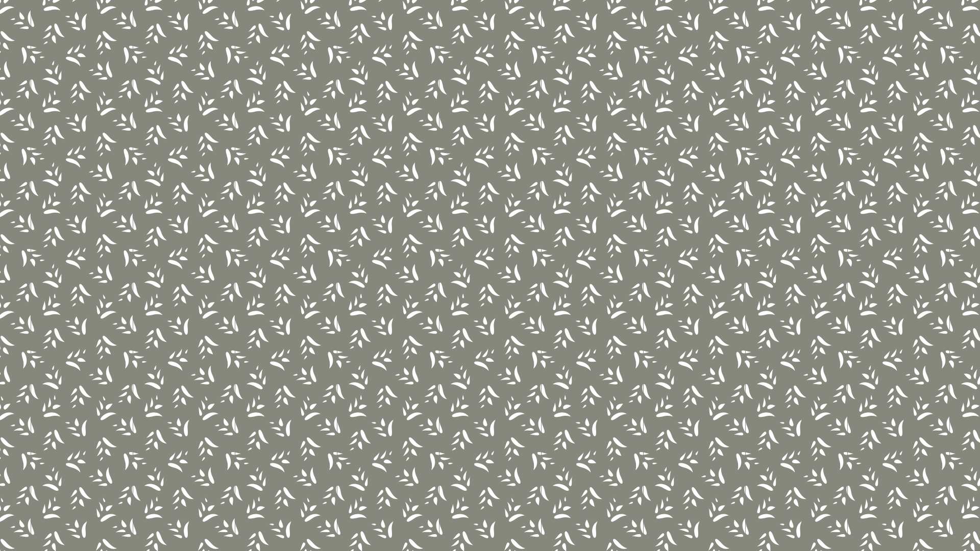 000241b